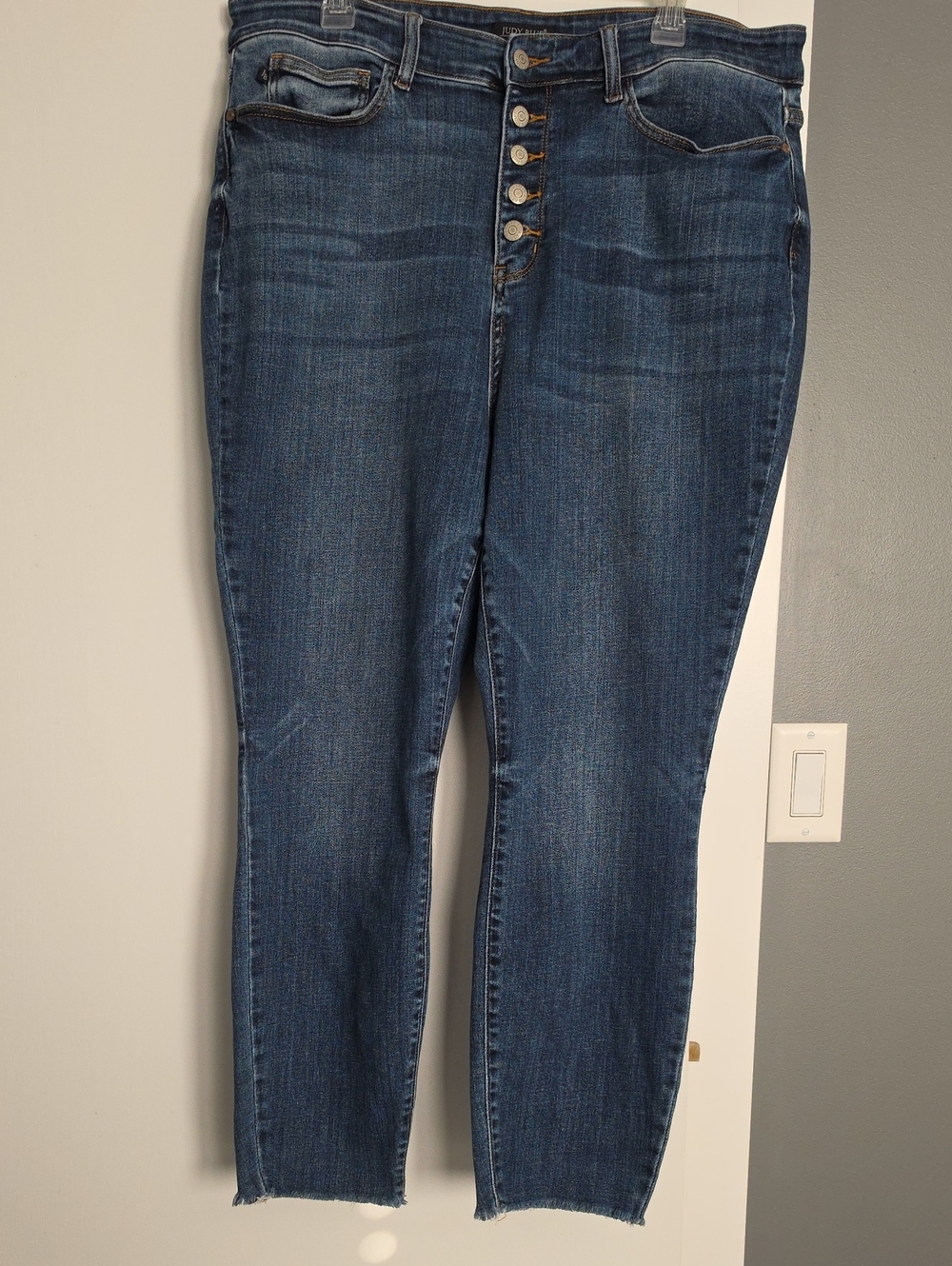 Judy Blue Women's Skinny Jeans - Button-Fly - Size 20W
